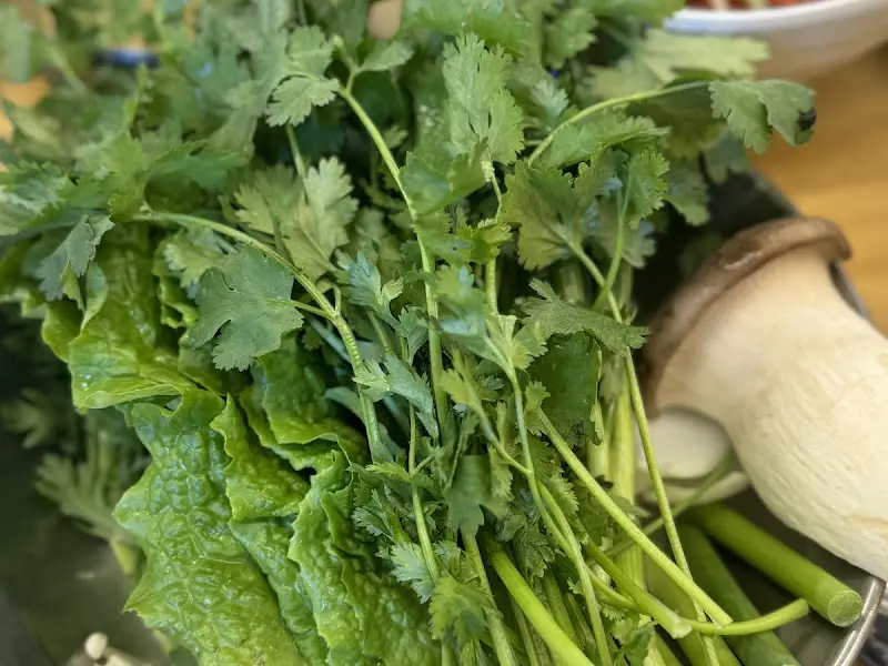 싱싱한 쌈 채소와 고수