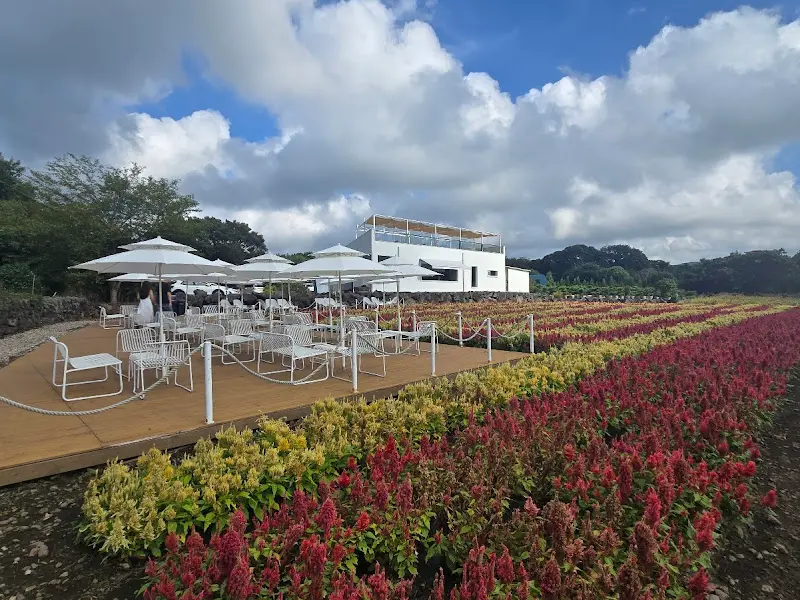 넓은 꽃밭과 파라솔 아래 테이블이 놓인 야외 좌석 공간