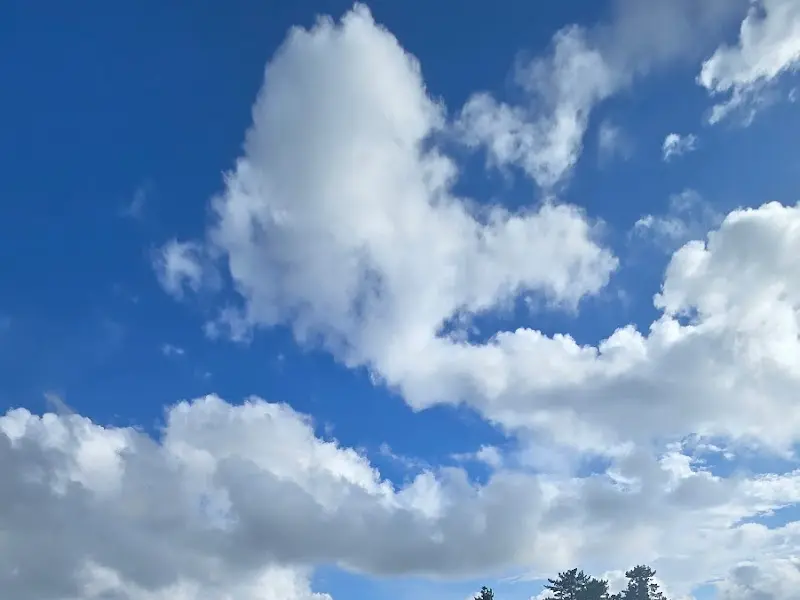 푸른 하늘과 뭉게구름