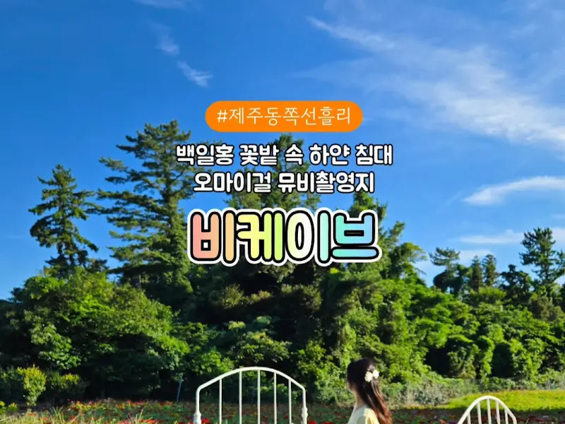 비케이브 안내 이미지