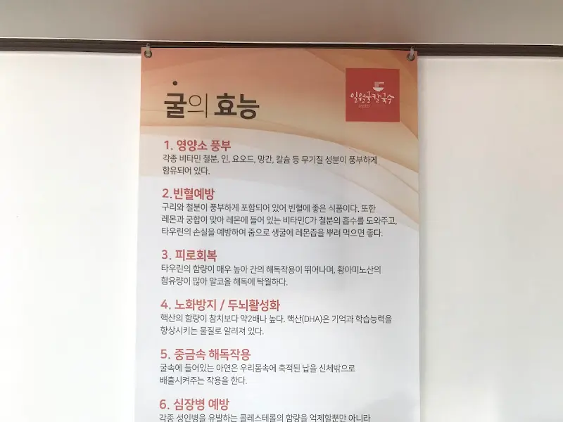 굴의 효능