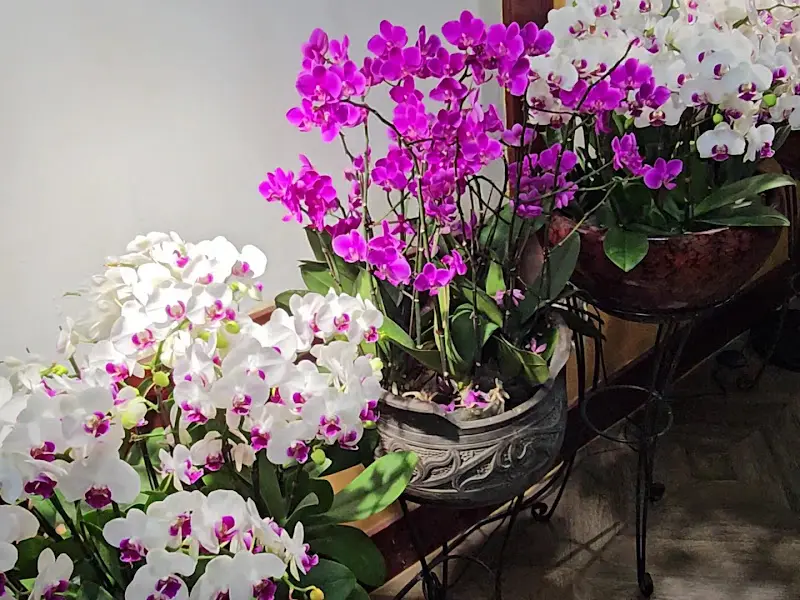 식당 입구에 놓인 아름다운 꽃 장식