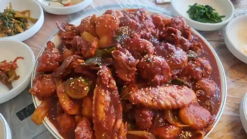 닭볶음탕 클로즈업