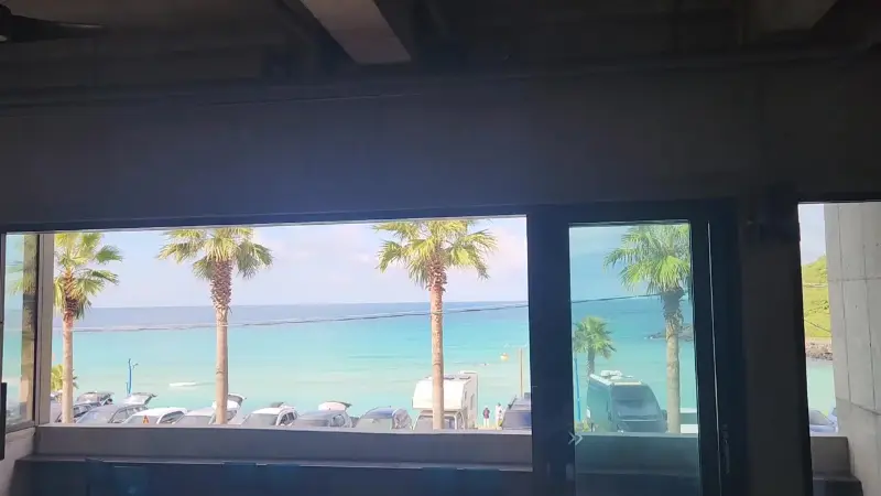 야야 창문에서 보이는 야자수와 함덕 해변