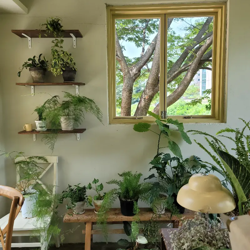 도나스데이 내부 인테리어