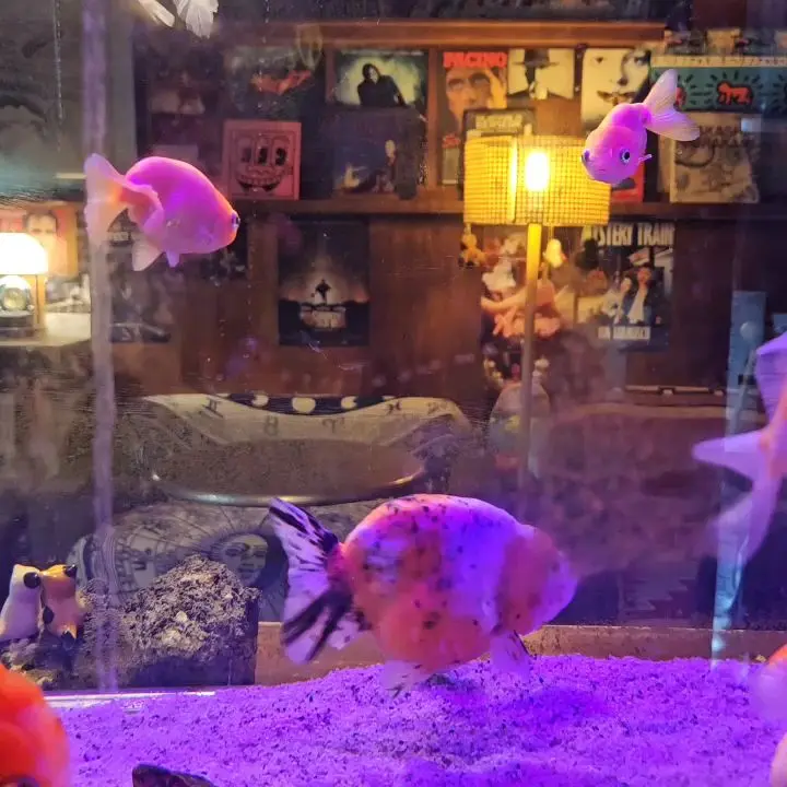 수조와 레트로 포스터