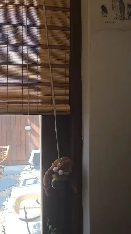 창가에 놓인 소품