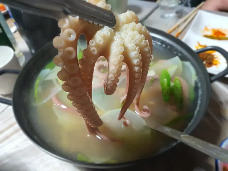 연포탕 속 낙지