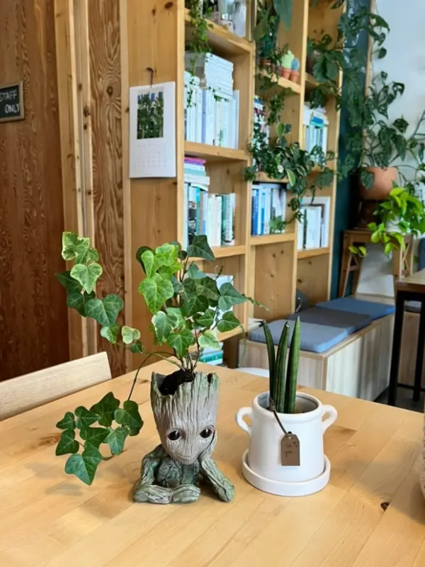 테이블 위의 작은 화분