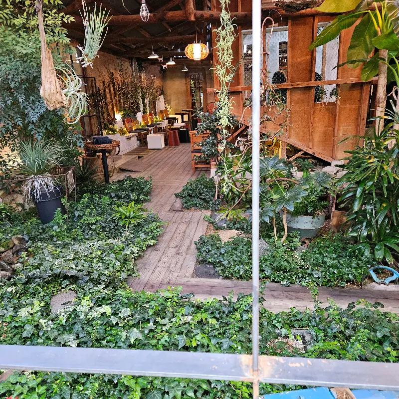 카페 내부의 다양한 식물들