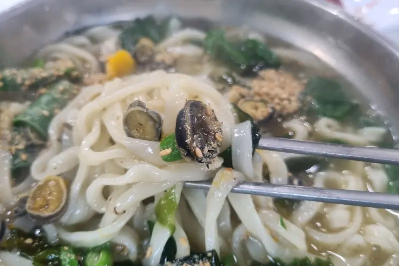 따개비 클로즈업