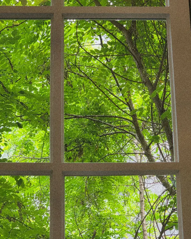 창밖으로 보이는 초록빛 나무
