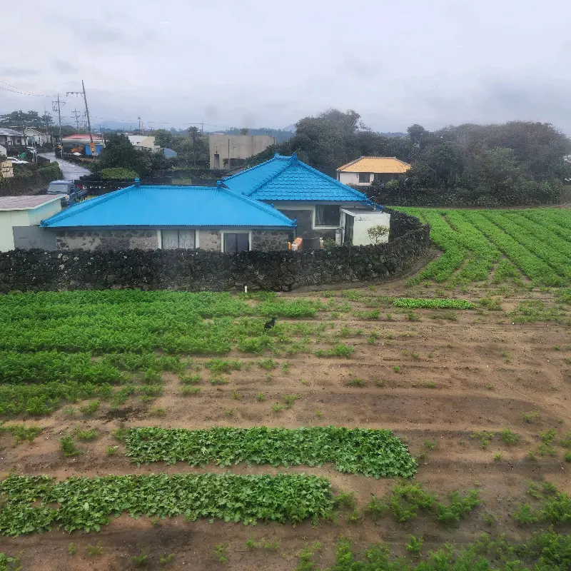 창밖으로 보이는 평대리 풍경