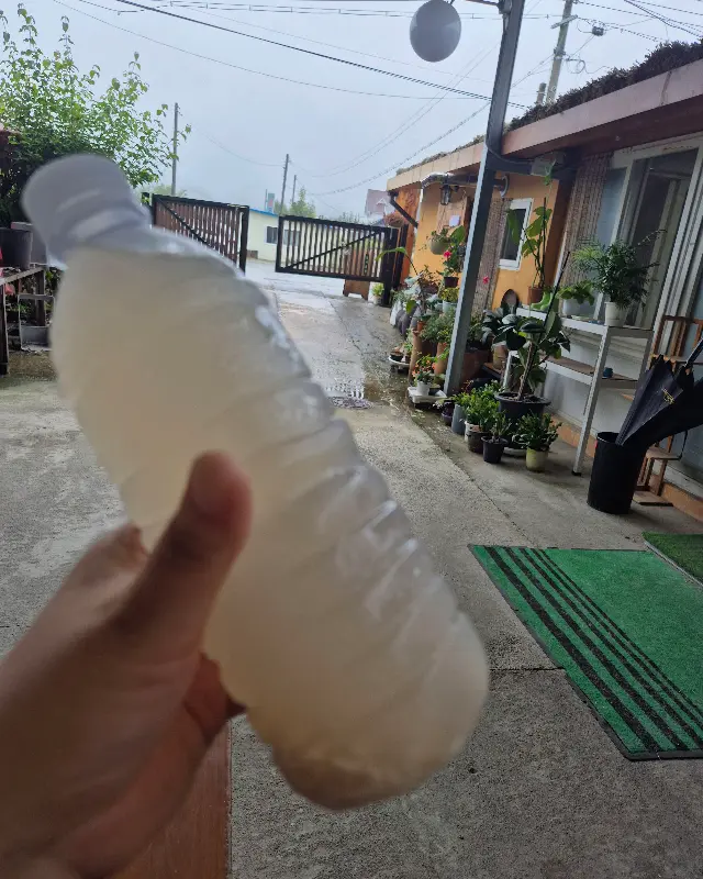 초가뜰에서 직접 만든 호박 식혜