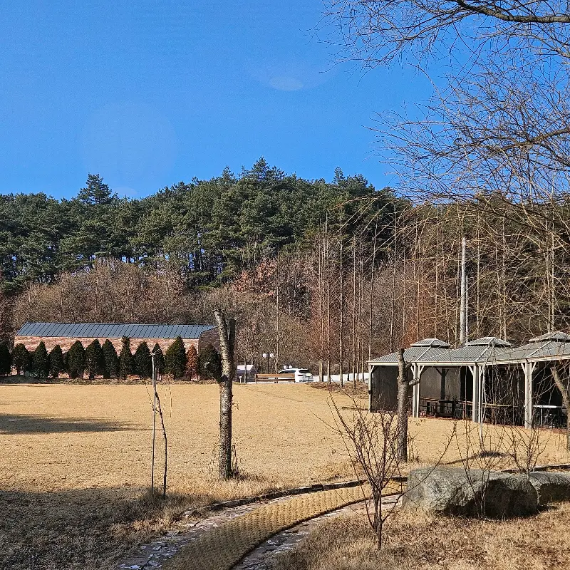 비진숲커피 주변 풍경