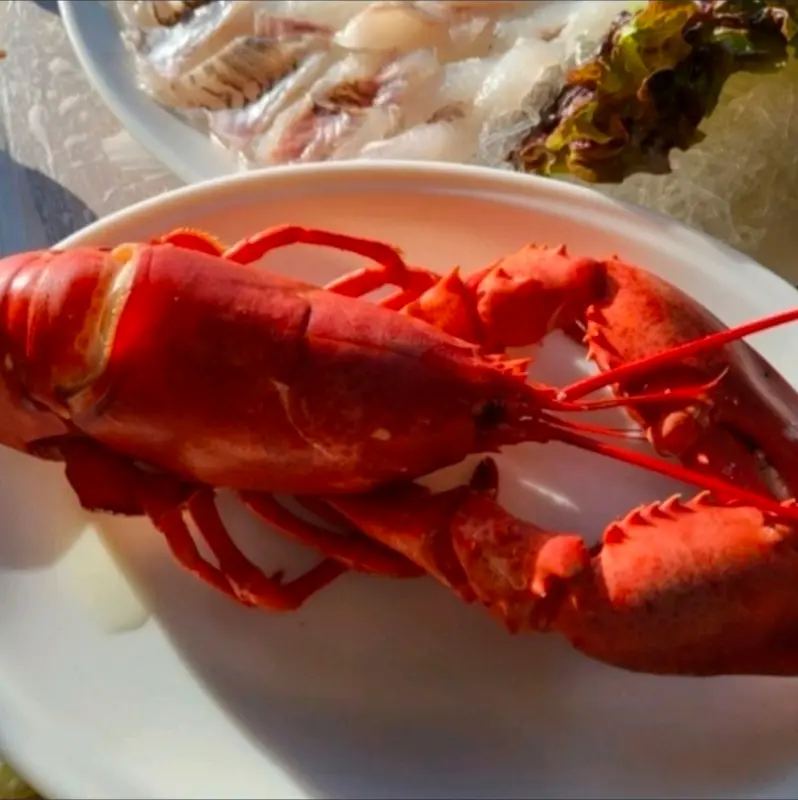 탱글탱글한 랍스터의 자태