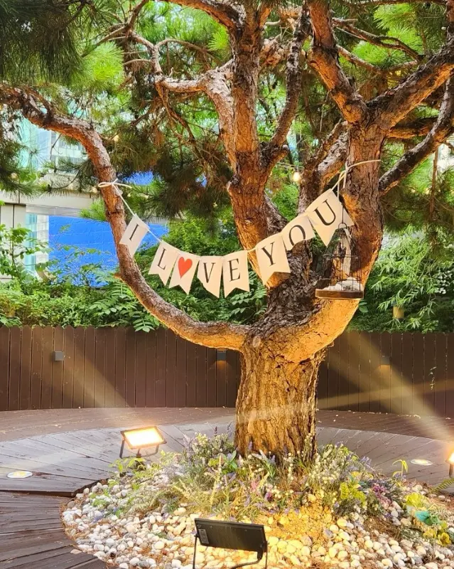 파티하우스더엘 야외 포토존