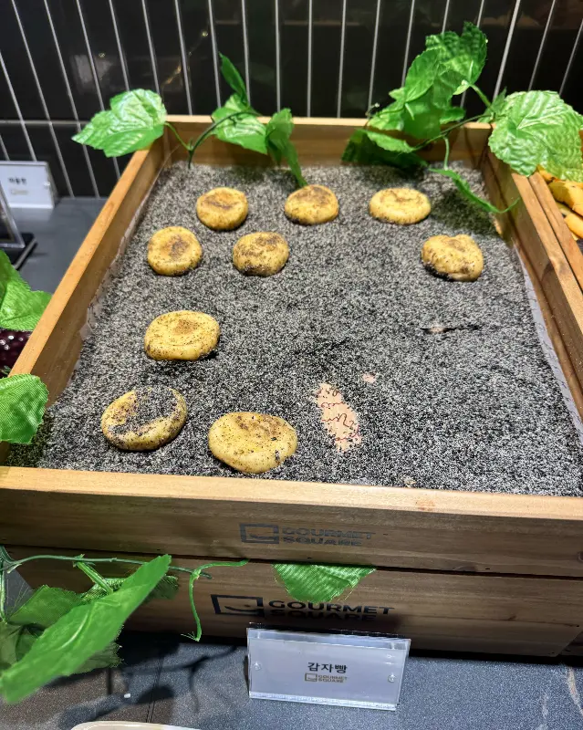 다양한 빵 종류