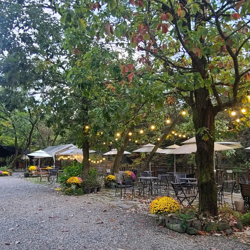 카페 외부 풍경