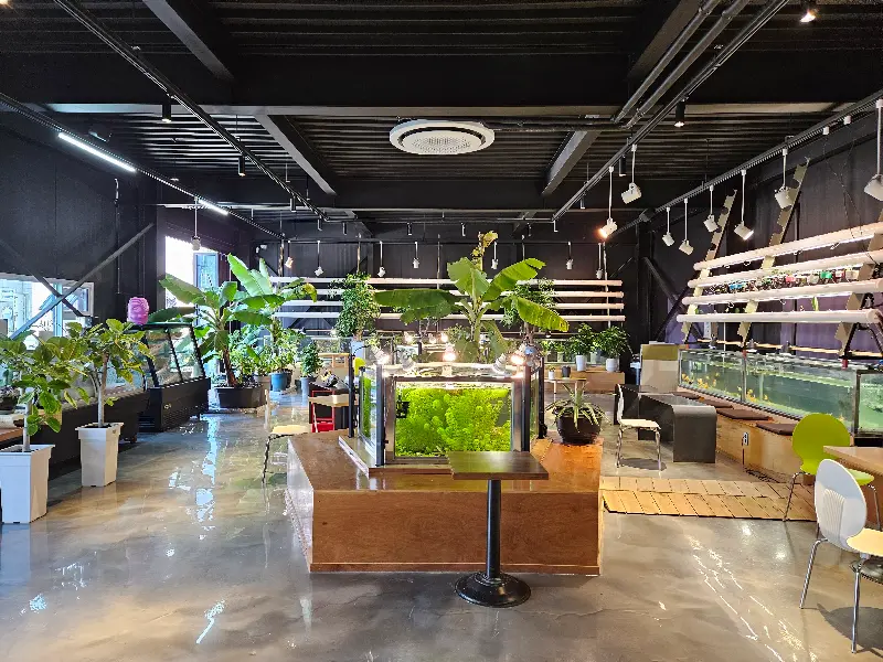 팜스빌드 내부 모습