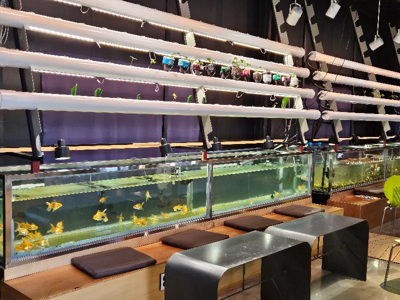 팜스빌드의 아쿠아포닉스 시스템