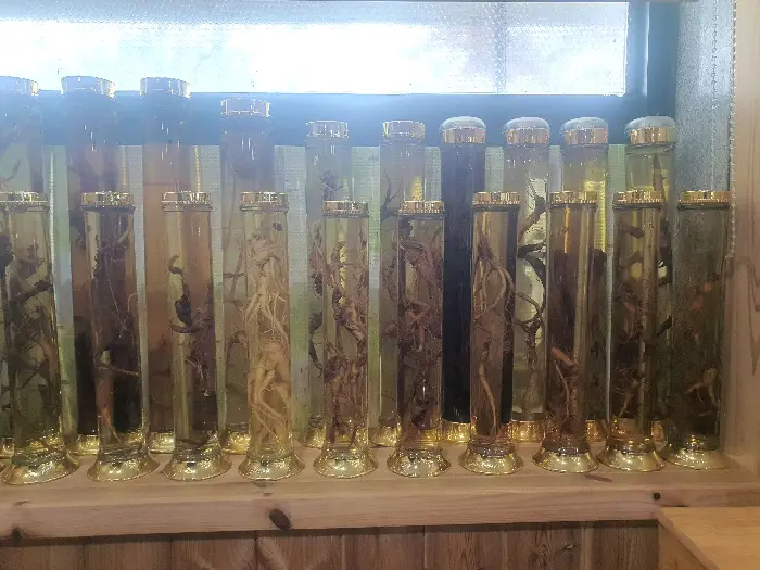 진열되어 있는 다양한 종류의 건강 음료 및 담금주 모습