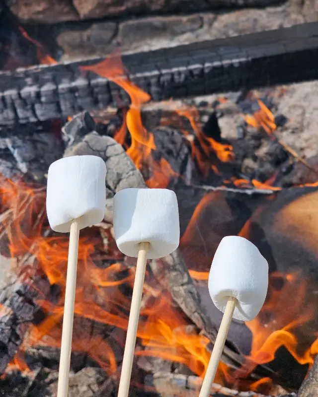 모닥불에 구워 먹는 마시멜로