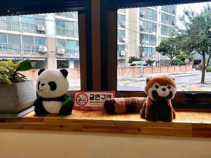 창가에 놓인 판다와 레서판다 인형