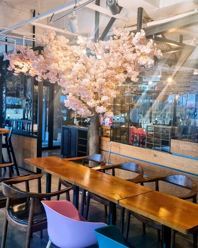 카페 내부의 벚꽃 장식