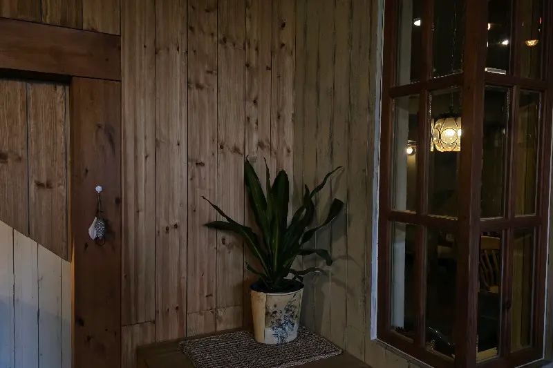 빙수 위에 올려진 꿀