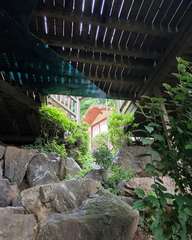 울창한 나무들 사이로 보이는 테라스바베큐키친