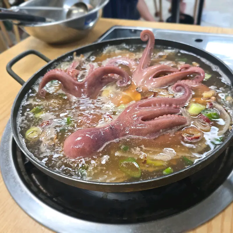 돌문어 연포탕의 웅장한 비주얼