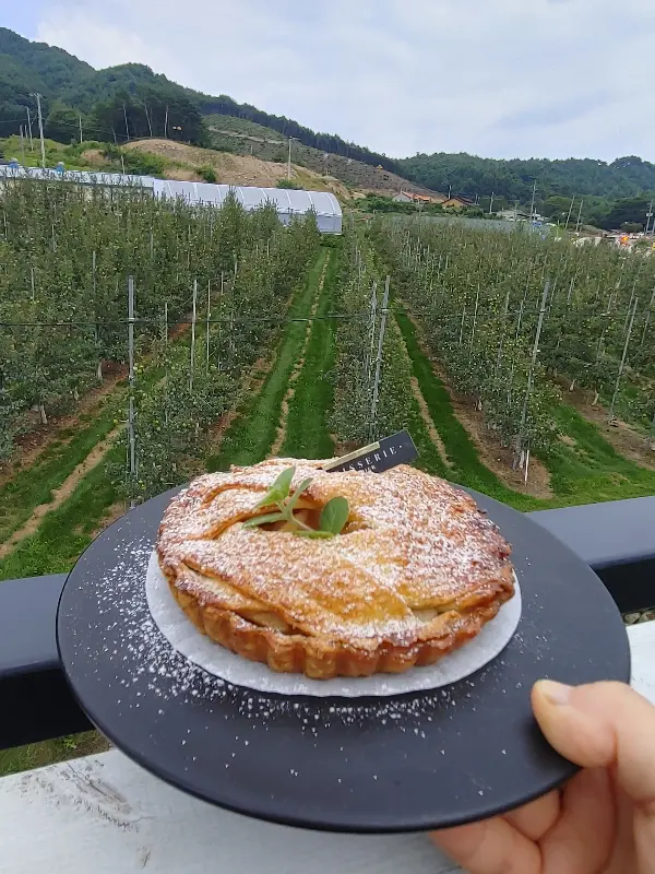 사과밭을 배경으로 한 애플파이