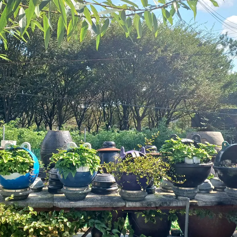 잘 익은 누룽지의 향긋함