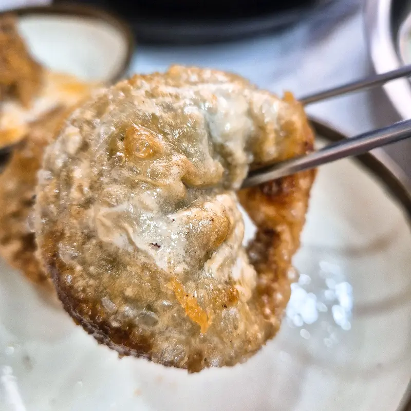 겉바속촉 튀김 만두