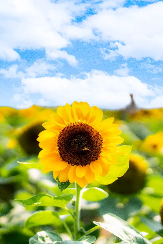 울산의 아름다운 풍경