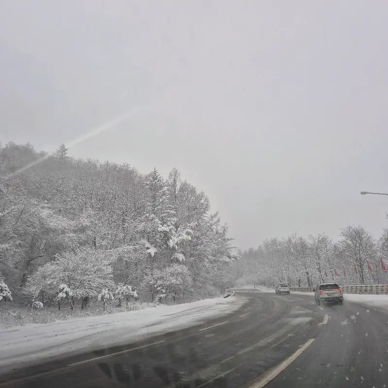 눈 덮인 겨울 산길의 풍경