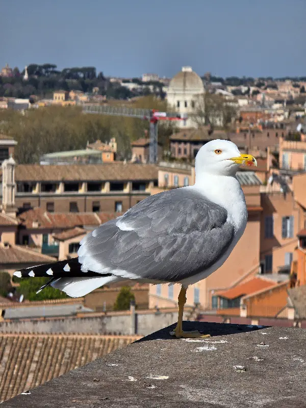 밀양의 푸른 하늘