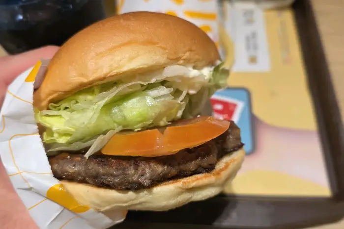 손으로 햄버거를 들고 있는 모습