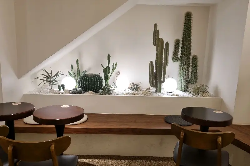 선인장 인테리어