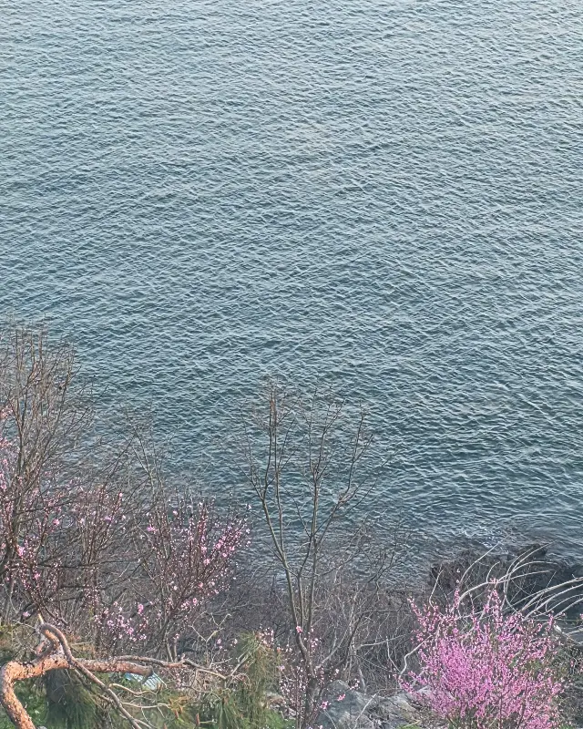 레스토랑에서 바라본 탁 트인 바다 풍경