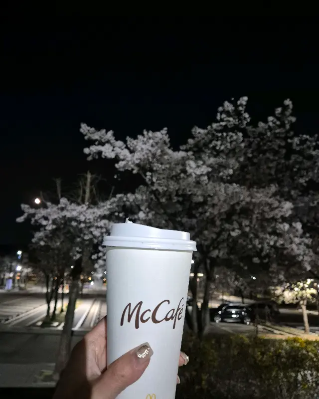 밤 벚꽃을 배경으로 놓인 맥카페 바닐라 라떼 컵