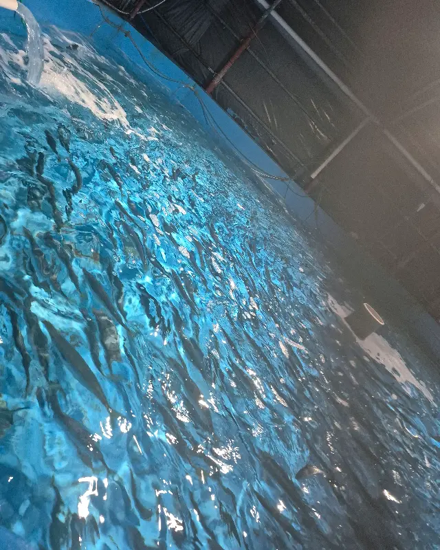 수조 가득 채워진 물고기