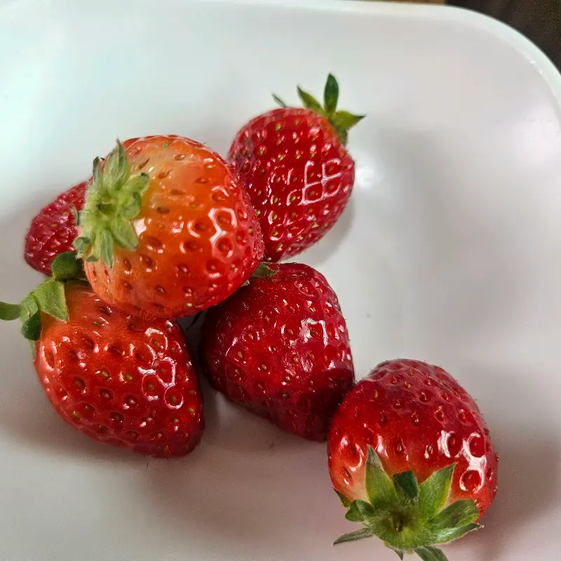 달콤한 후식 딸기