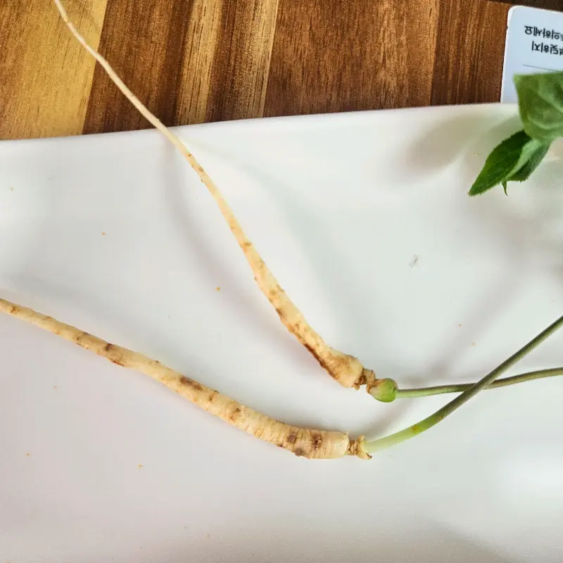 쌉싸름한 맛이 일품인 인삼 튀김