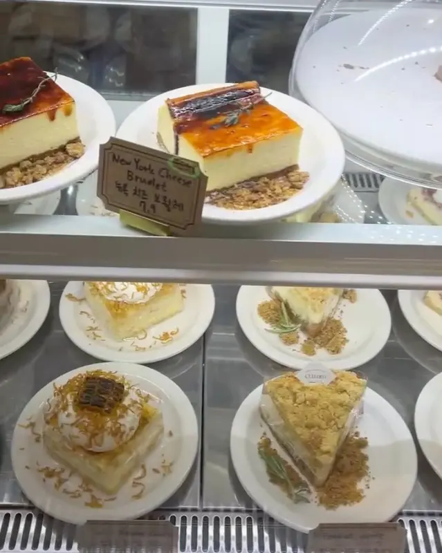 다양한 종류의 치즈 케이크