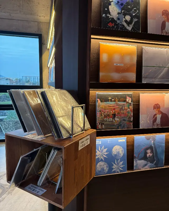 다양한 LP 앨범들