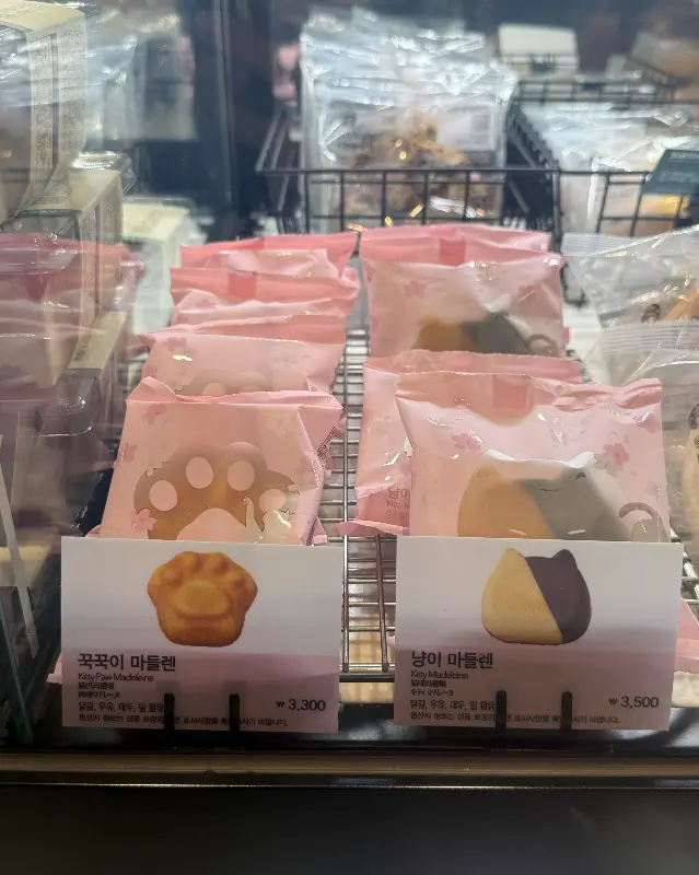 쇼케이스 안에 진열된 다양한 디저트들