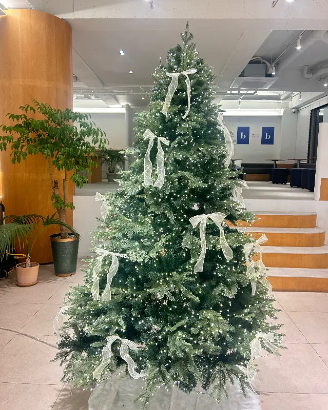 크리스마스 트리