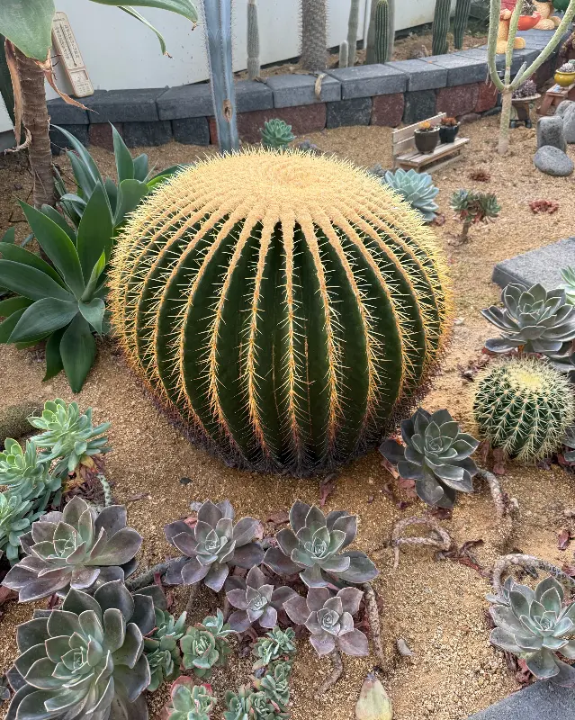 온실에서 즐거운 시간을 보내는 아이들